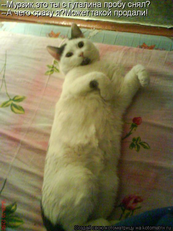 Котоматрица: --Мурзик,это ты с гуталина пробу снял? --А чего сразу я?Может,такой продали!