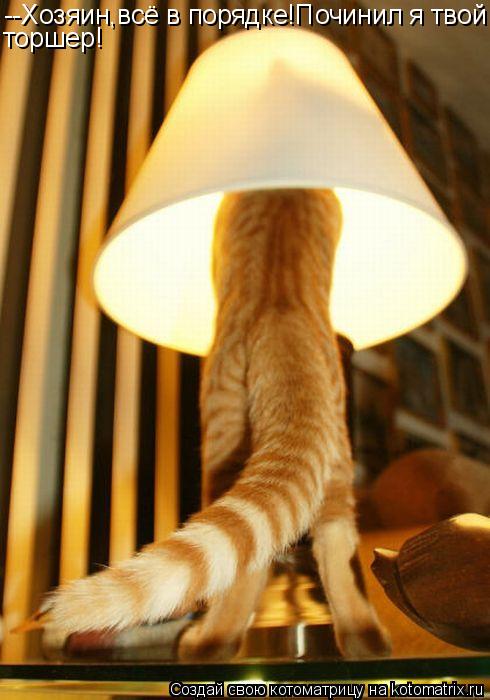 Котоматрица: --Хозяин,всё в порядке!Починил я твой торшер!