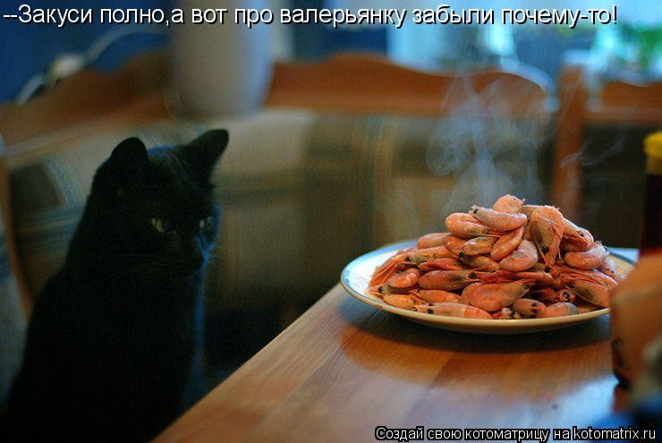 Котоматрица: --Закуси полно,а вот про валерьянку забыли почему-то!