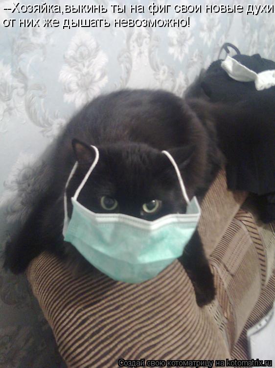 Котоматрица: --Хозяйка,выкинь ты на фиг свои новые духи, от них же дышать невозможно!