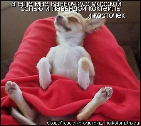 Котоматрица: а ещё мне ванночку с морской солью и лавандой коктейль  и косточек