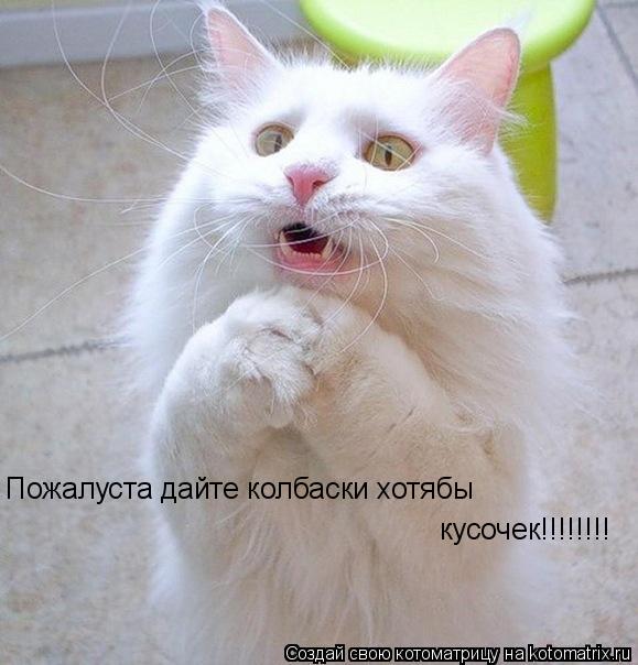 Котоматрица: Пожалуста дайте колбаски хотябы кусочек!!!!!!!!