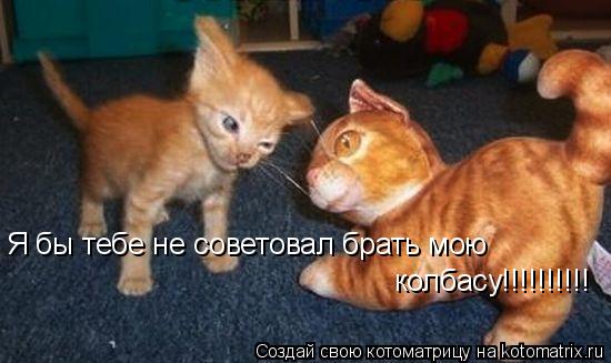 Котоматрица: Я бы тебе не советовал брать мою колбасу!!!!!!!!!!