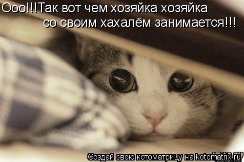 Котоматрица: Ооо!!!Так вот чем хозяйка хозяйка со своим хахалём занимается!!!