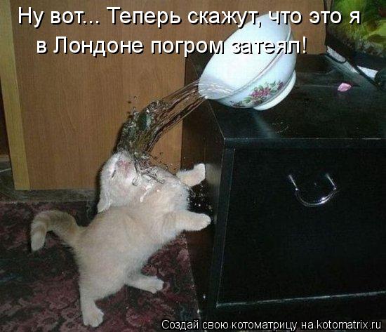 Котоматрица: Ну вот... Теперь скажут, что это я  в Лондоне погром затеял!