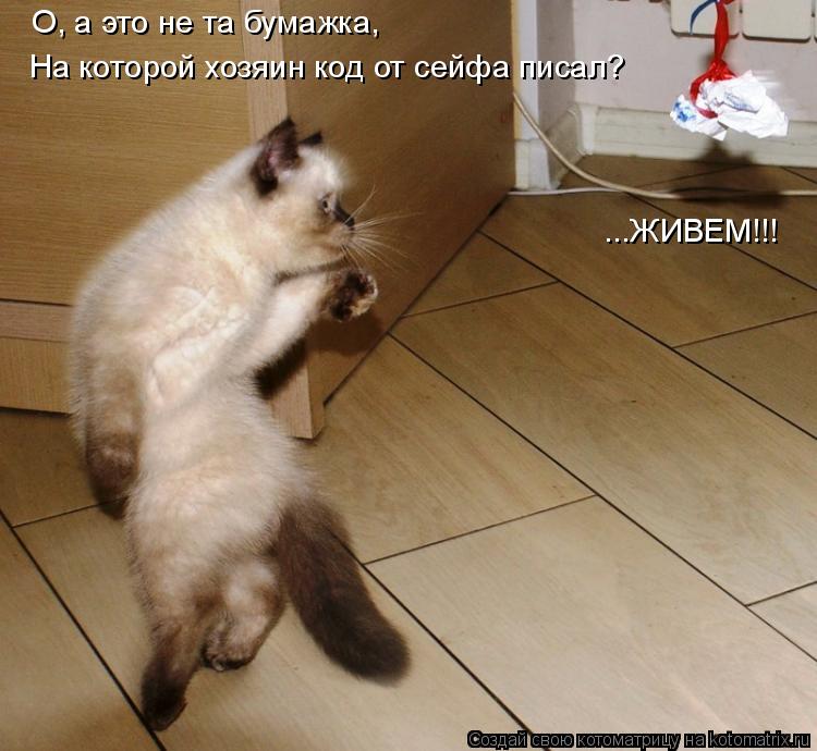 Котоматрица: О, а это не та бумажка,  На которой хозяин код от сейфа писал? ...ЖИВЕМ!!!