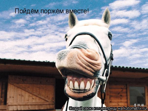 Котоматрица: Пойдём,поржём вместе!