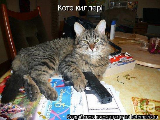 Котоматрица: Котэ киллер!