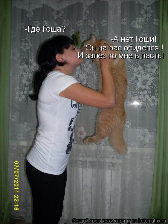 Котоматрица: -Где Гоша? -А нет Гоши! Он на вас обиделся ! И залез ко мне в пасть!