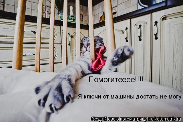 Котоматрица: Помогитееее!!!!   Я ключи от машины достать не могу
