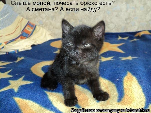 Котоматрица: Слышь молой, почесать брюхо есть? А сметана? А если найду?