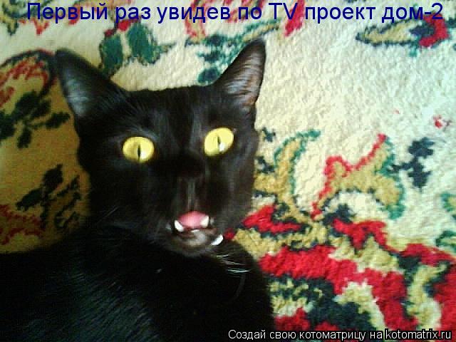 Котоматрица: Первый раз увидев по TV проект дом-2