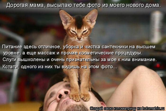 Котоматрица: Питание здесь отличное, уборка и чистка сантехники на высшем уровне, а еще массаж и прочие косметические процедуры. Слуги вышколены и очень