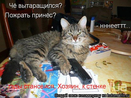 Котоматрица: Чё вытаращился? Пожрать принёс? - нннееттт... тады становися, Хозяин, к стенке