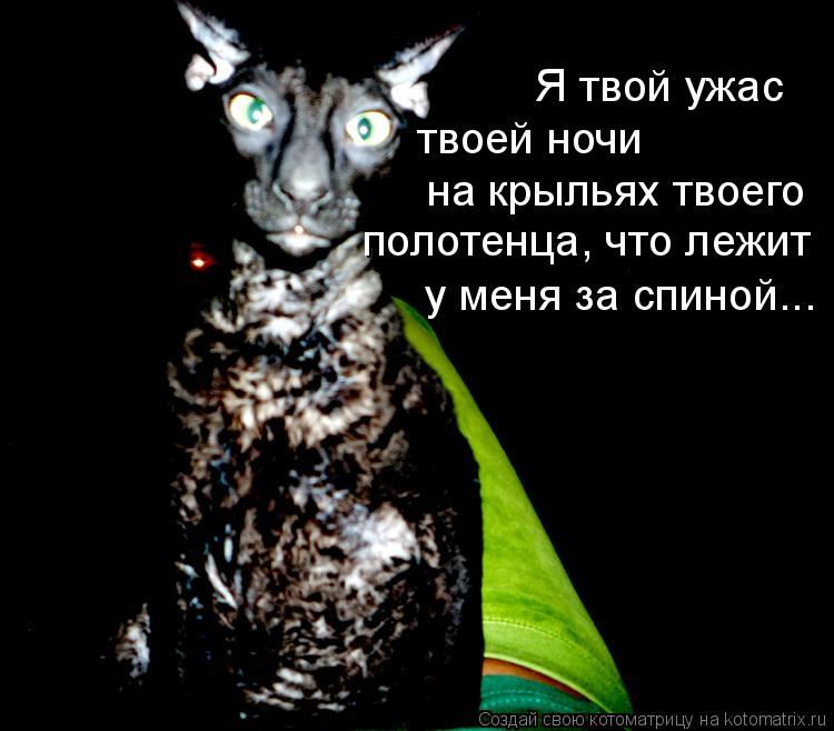Котоматрица: Я твой ужас твоей ночи на крыльях твоего полотенца, что лежит у меня за спиной...