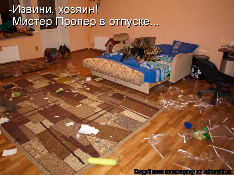 -Извини, хозяин! Мистер Пропер в отпуске...... Котоматрица: -Извини, хозяин! Мистер Пропер в отпуске...