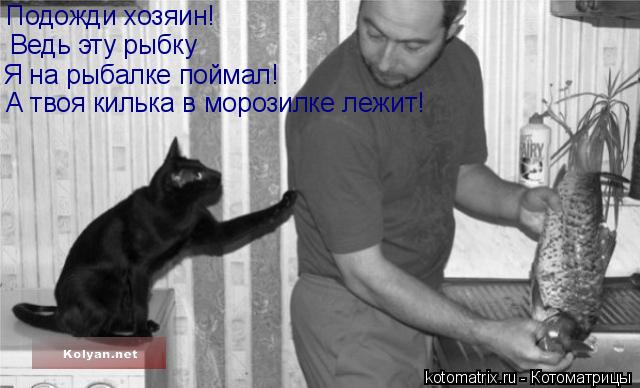 Котоматрица: Подожди хозяин! Ведь эту рыбку Я на рыбалке поймал! А твоя килька в морозилке лежит!