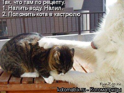 Котоматрица: Так, что там по рецепту. 1. Налить воду. Налил. 2. Положить кота в кастрюлю