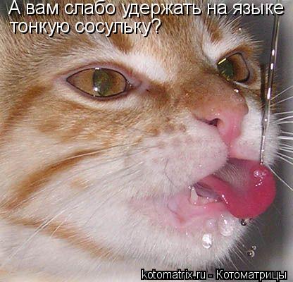 Котоматрица: А вам слабо удержать на языке  тонкую сосульку?