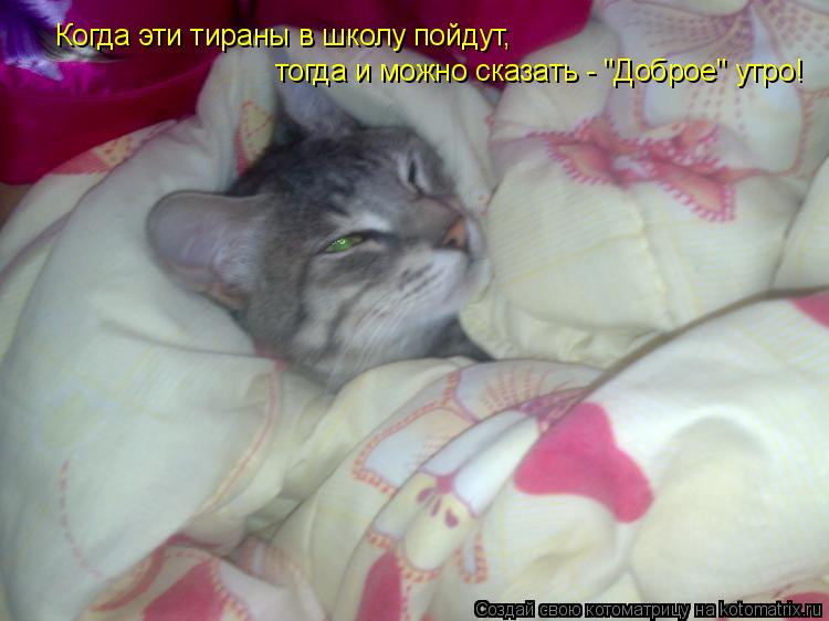 Котоматрица: Когда эти тираны в школу пойдут,  тогда и можно сказать - "Доброе" утро!