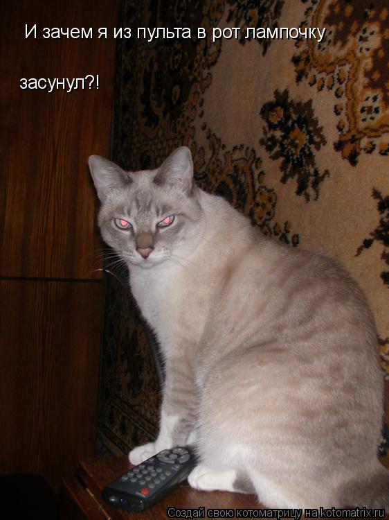 Котоматрица: И зачем я из пульта в рот лампочку  засунул?!