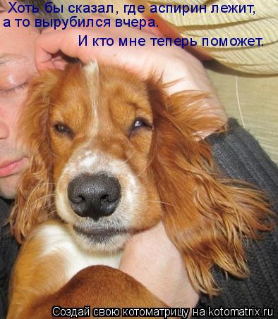 Котоматрица: Хоть бы сказал, где аспирин лежит, а то вырубился вчера. И кто мне теперь поможет.