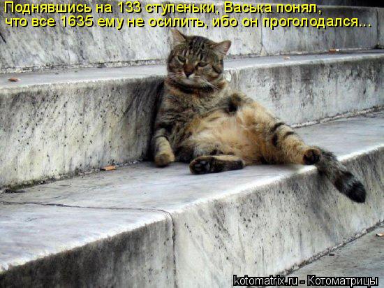Котоматрица: Поднявшись на 133 ступеньки, Васька понял, что все 1635 ему не осилить, ибо он проголодался...
