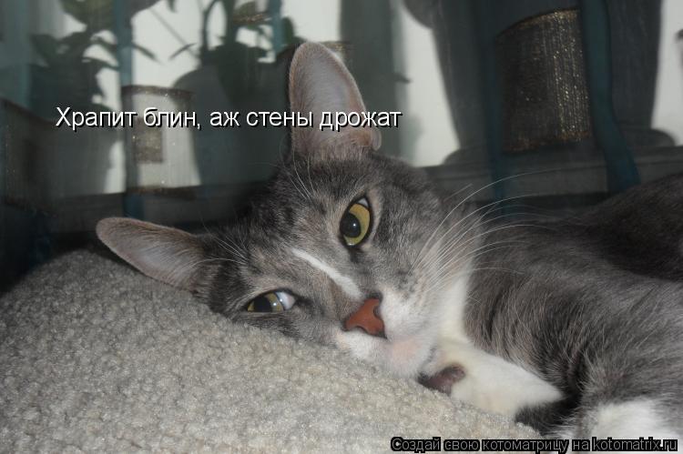 Котоматрица: Храпит блин, аж стены дрожат