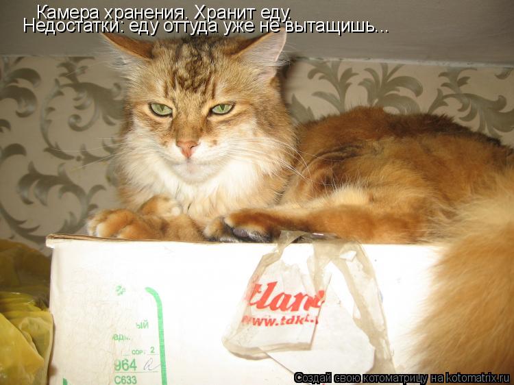 Котоматрица: Камера хранения. Хранит еду. Недостатки: еду оттуда уже не вытащишь...