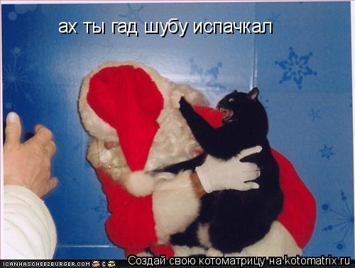 Котоматрица: ах ты гад шубу испачкал