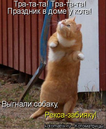 Котоматрица: Тра-та-та! Тра-та-та! Праздник в доме у кота! Выгнали собаку, Рекса-забияку!