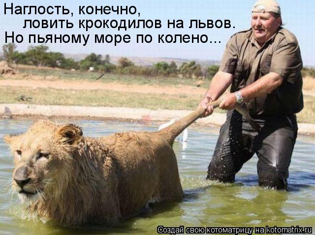 Наглость, конечно, ловить крокодилов на львов. Но пьяному море по колено...... Котоматрица: Наглость, конечно, ловить крокодилов на львов. Но пьяному море по колено...