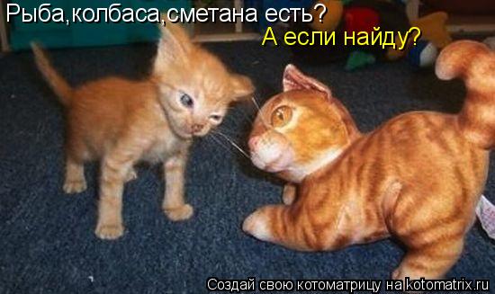 Рыба,колбаса,сметана есть? А если найду?... Котоматрица: Рыба,колбаса,сметана есть? А если найду?
