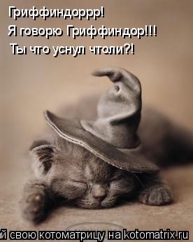 Котоматрица: Гриффиндоррр! Я говорю Гриффиндор!!! Я говорю Гриффиндор!!! Ты что уснул чтоли?!
