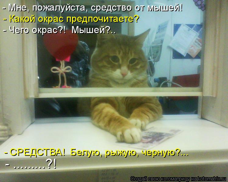 - Мне, пожалуйста, средство от мышей! - Какой окрас предпочитаете? - Чего окрас?! Мышей?.. - СРЕДСТВ... Котоматрица: - Мне, пожалуйста, средство от мышей! - Какой окрас предпочитаете? - Чего окрас?! Мышей?.. - СРЕДСТВА! Белую, рыжую, черную?... - .........?!