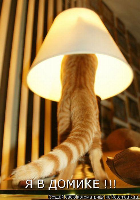 Я В ДОМИКЕ !!!... Котоматрица: Я В ДОМИКЕ !!!