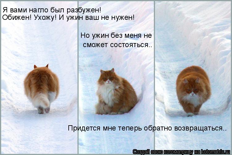 Котоматрица: Я вами нагло был разбужен! Обижен! Ухожу! И ужин ваш не нужен! Но ужин без меня не  сможет состояться.. Придется мне теперь обратно возвращать