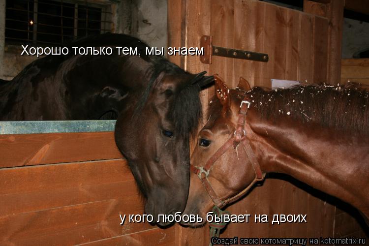 Котоматрица: Хорошо только тем, мы знаем у кого любовь бывает на двоих