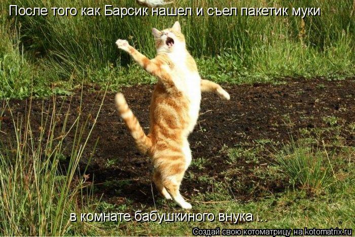 Котоматрица: После того как Барсик нашел и съел пакетик муки  в комнате бабушкиного внука ...