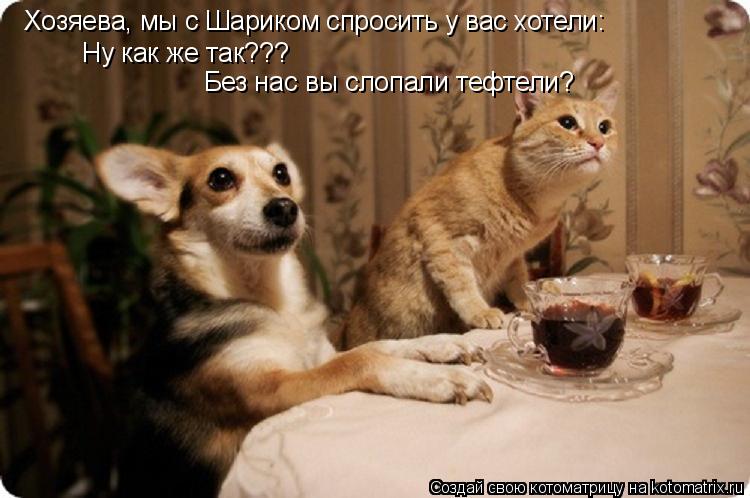 Котоматрица: Хозяева, мы с Шариком спросить у вас хотели: Ну как же так??? Без нас вы слопали тефтели?
