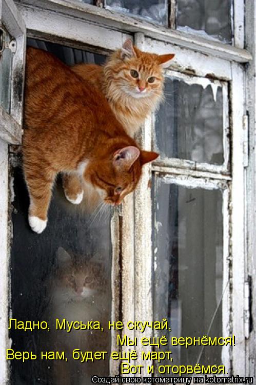 Котоматрица: Ладно, Муська, не скучай, Мы ещё вернёмся! Верь нам, будет ещё март, Вот и оторвёмся.