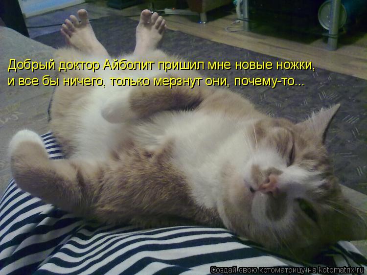 Котоматрица: Добрый доктор Айболит пришил мне новые ножки, и все бы ничего, только мерзнут они, почему-то...