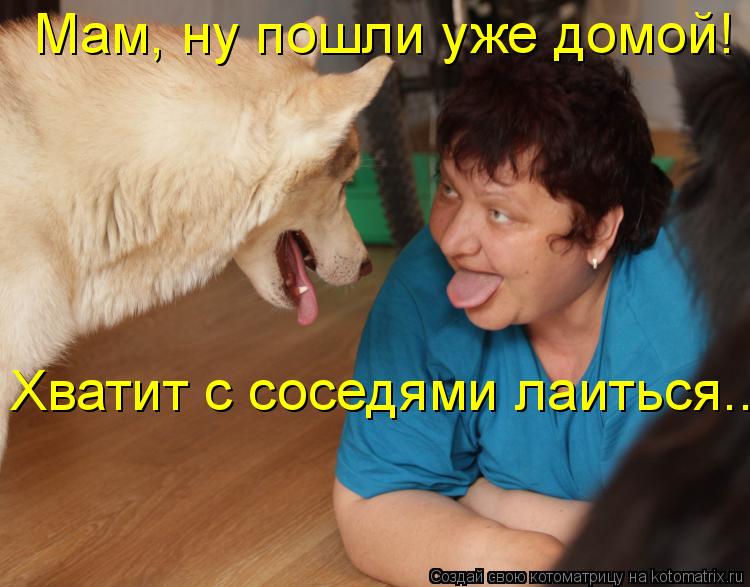 Котоматрица: Мам, ну пошли уже домой! Хватит с соседями лаиться...