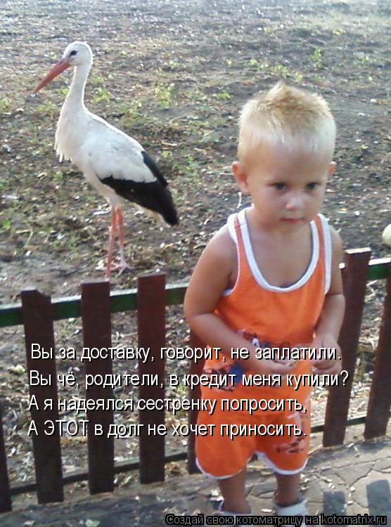 Вы за доставку, говорит, не заплатили. Вы чё, родители, в кредит меня купили? А я надеялся сестренку ... Котоматрица: Вы за доставку, говорит, не заплатили. Вы чё, родители, в кредит меня купили? А я надеялся сестренку попросить, А ЭТОТ в долг не хочет приносит