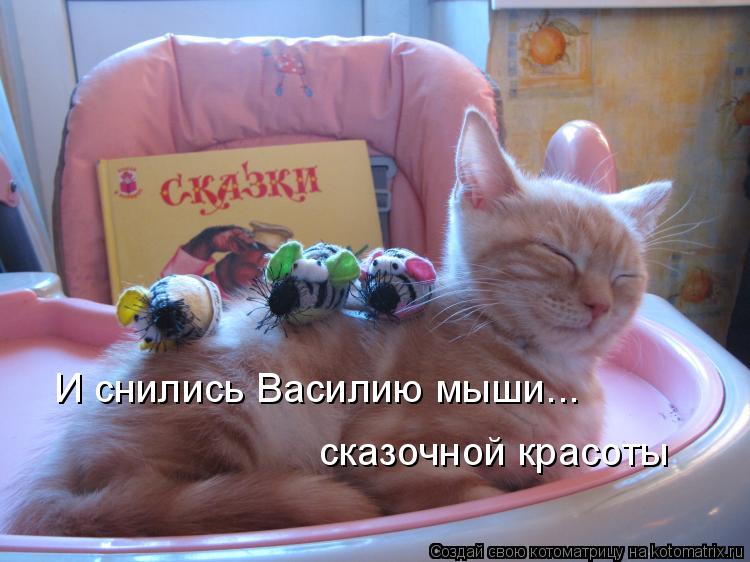 Котоматрица: И снились Василию мыши... сказочной красоты