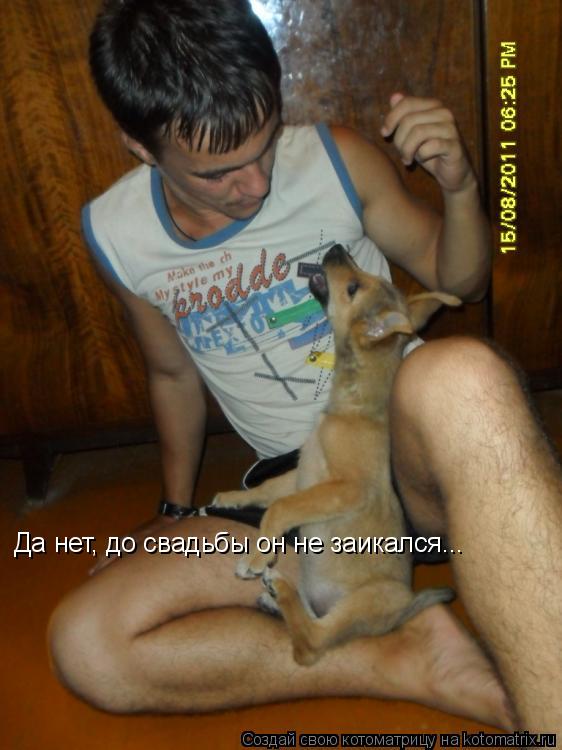 Да нет, до свадьбы он не заикался...... Котоматрица: Да нет, до свадьбы он не заикался...