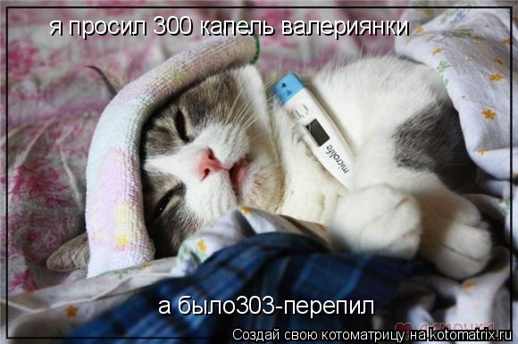 Котоматрица: я просил 300 капель валериянки а было303-перепил