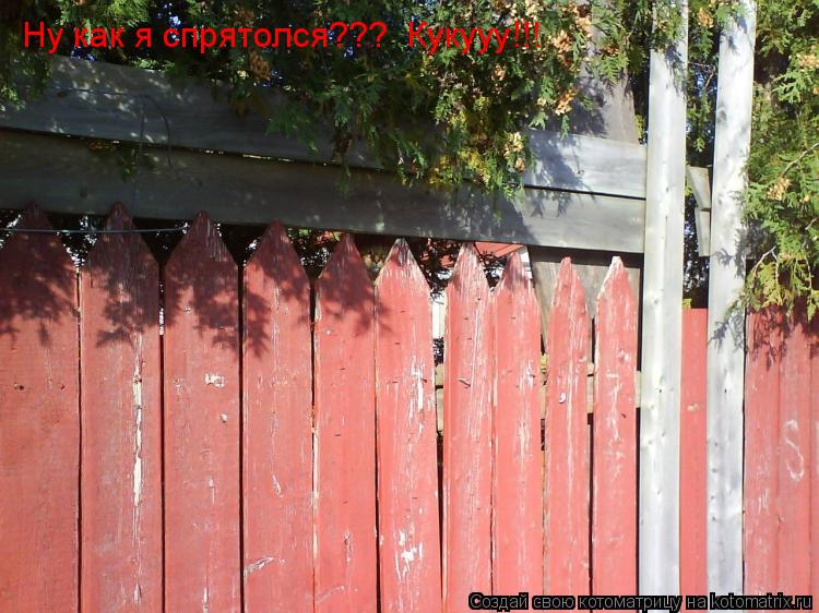 Котоматрица: Ну как я спрятолся???  Кукууу!!!