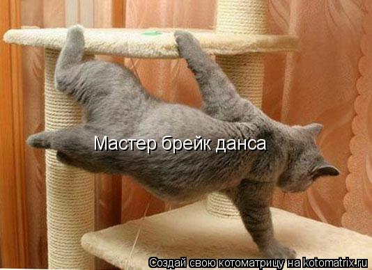 Котоматрица: Мастер брейк данса