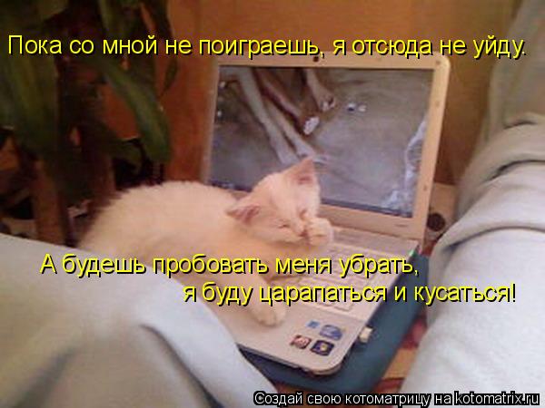 Котоматрица: Пока со мной не поиграешь, я отсюда не уйду. А будешь пробовать меня убрать, я буду царапаться и кусаться!